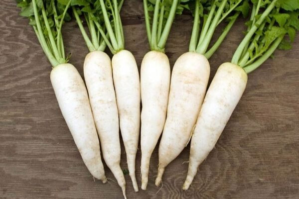 Củ cải trắng là nguyên liệu tự nhiên giúp giảm tàn nhang an toàn
